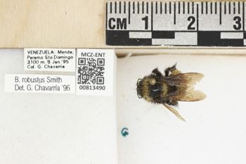 Media type: image;   Entomology 813490 Aspect: labels